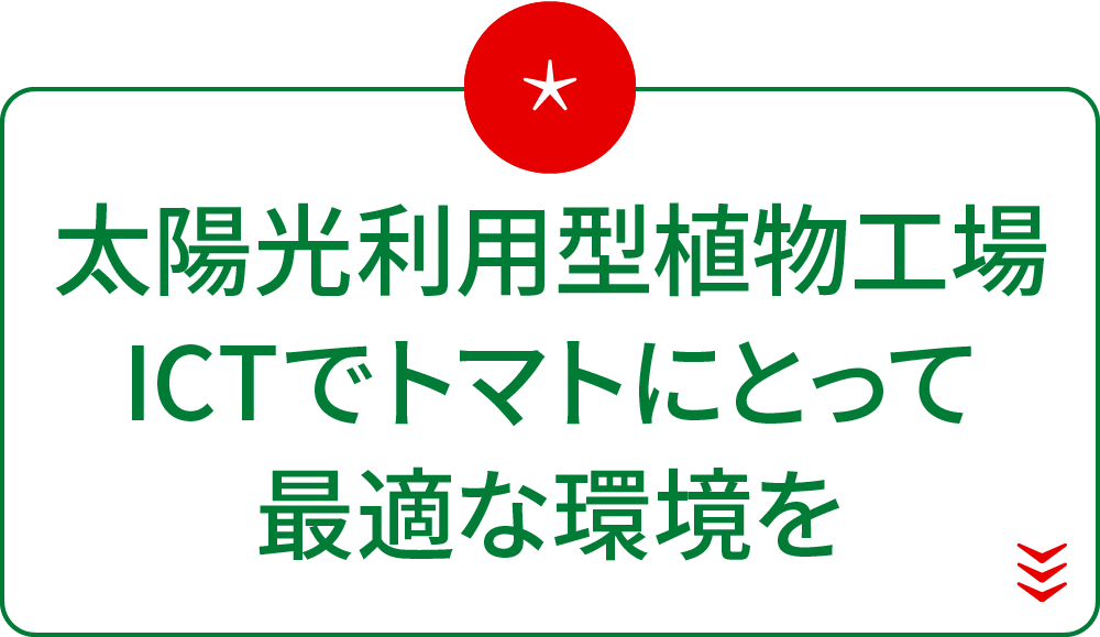 太陽光利用型植物工場ICTでトマトにとって最適な環境を