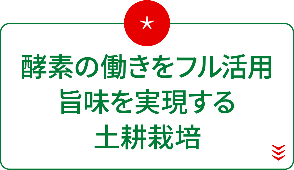 酵素の働きをフル活用旨味を実現する土耕栽培