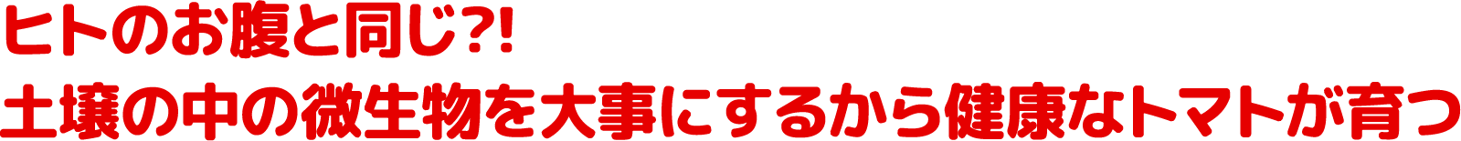 ヒトのお腹と同じ?!土壌の中の微生物を大事にするから健康なトマトが育つ