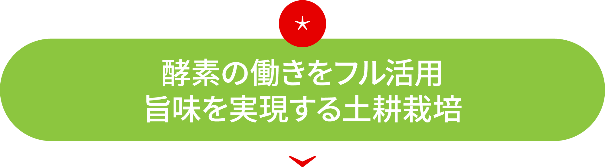 酵素の働きをフル活用 旨味を実現する土耕栽培