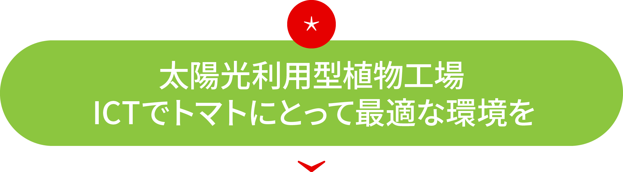 太陽光利用型植物工場ICTでトマトにとって最適な環境を