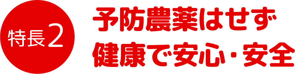 特徴2 予防農薬はせず健康で安心・安全