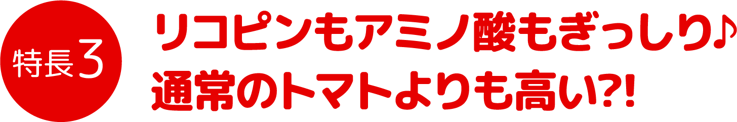 特徴3 リコピンもアミノ酸もぎっしり♪通常のトマトよりも高い?!