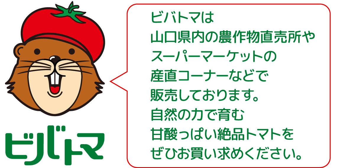 ビバトマは山口県内の農作物直売所やスーパーマーケットの直産コーナーなどで販売しております。自然の力で育む甘酸っぱい絶品トマトをぜひお買い求めください。