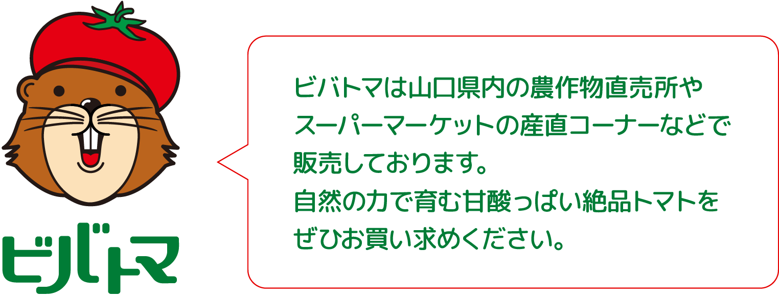 ビバトマは山口県内の農作物直売所やスーパーマーケットの直産コーナーなどで販売しております。自然の力で育む甘酸っぱい絶品トマトをぜひお買い求めください。